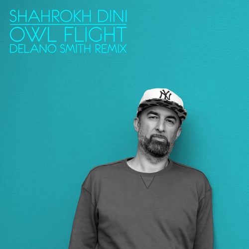 Shahrokh Dini – Owl Flight (Delano Smith Remix) (2026 Edit) on Compost
