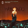Cover Image for Hablando Original Mix